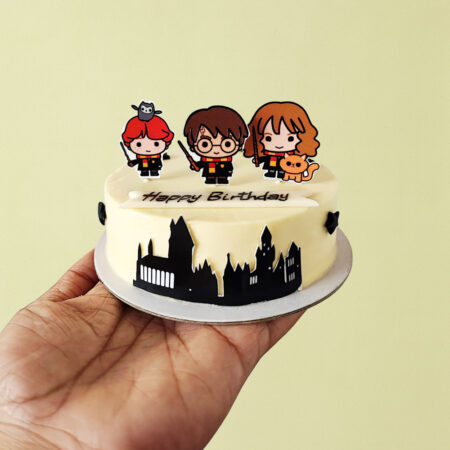 Birthday Bento Cake - Harry Potter